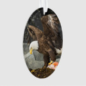 De ultieme Bald Eagle Ornament (voorkant)