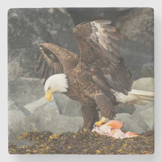 De ultieme Bald Eagle Stenen Onderzetter (Voorkant)