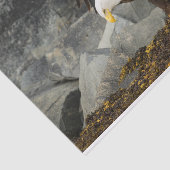 De ultieme Bald Eagle Tissuepapier (Detail)