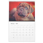 De ultieme Dog-agenda Kalender (Feb 2027)