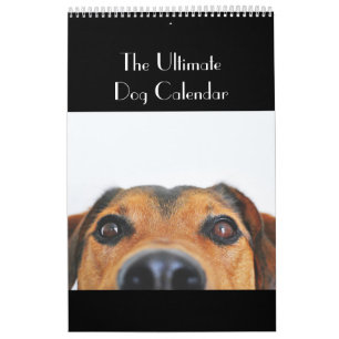 De ultieme Dog-agenda Kalender