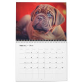 De ultieme Dog-agenda Kalender (Feb 2026)
