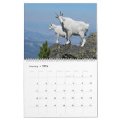 De ultieme geitalender kalender (Jan 2026)