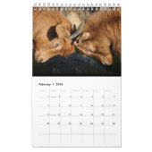 De ultieme geitalender kalender (Feb 2026)