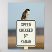 De ultieme ironie poster (Voorkant)