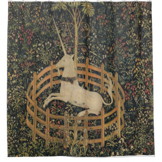 De Unicorn is het Gevangen Gordijn van de Schoenma