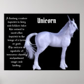 De Unicorn Poster (Voorkant)