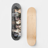 De Untouchables - Pitbull Champion-serie Skateboard (Voorkant)