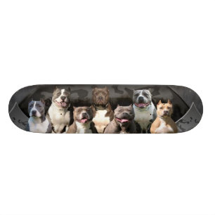 De Untouchables - Pitbull Champion-serie Skateboard