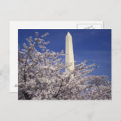 De V.S., Washington DC. Het Festival van de Briefkaart (Voorkant / Achterkant)