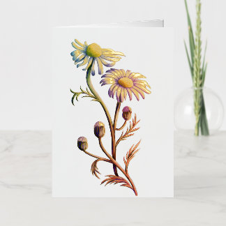 De Vacances En Aluminium Carte à thème à fleurs Chamomille