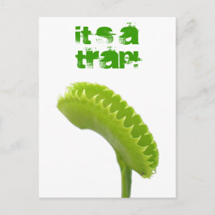 De Val van de Vlieg van het Venus Briefkaart