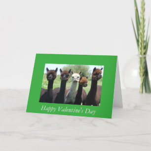 De Valentijnsdag van de alpaca Feestdagen Kaart