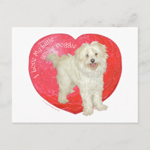 De Valentijnsdag van Havanese/van de Mengeling Feestdagenkaart