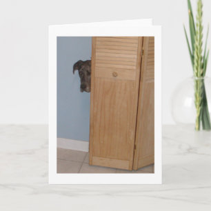 De Valentijnse Kaart van great dane