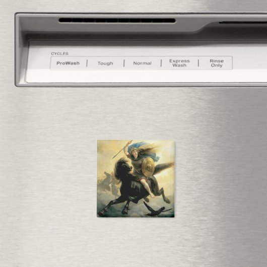 De Valkyrie Magneet (Insitu (Vaatwasser))