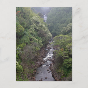 De Valley Near Hilo, Hawaii Briefkaart