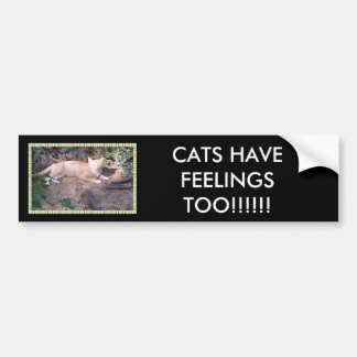 DE VANGSTEN HEBBEN OOK GEVOELEN!!!!!!! BUMPERSTICKER