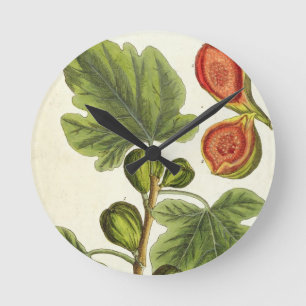 De varkensboom, bord 125 uit 'A Curious Herbal', b Ronde Klok