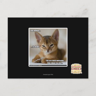 De veer is dood. briefkaart