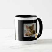 De veer is dood. mok (Voorkant rechts)