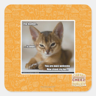 De veer is dood. vierkante sticker