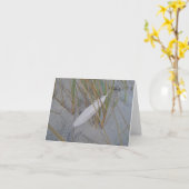 De Veer van de Zeemeeuw IBSP in de Kaart van de (Gele Bloem)