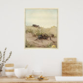 DE VELD CRICKET - Insecte Book Illustration Poster (Keuken)