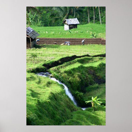 De velden bewerken poster (Voorkant)