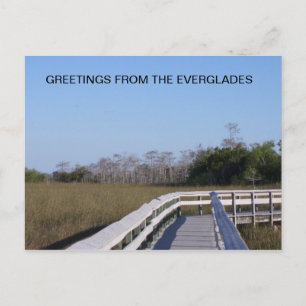 DE VELDEN VAN DE EVERGLADES BRIEFKAART