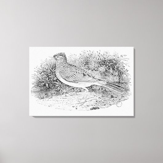 De veldleeuwerik canvas afdruk (Voorkant)