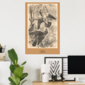 De veldtarieven poster (Thuiskantoor)
