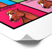 De vele gezichten van Mare Poster (Hoek)