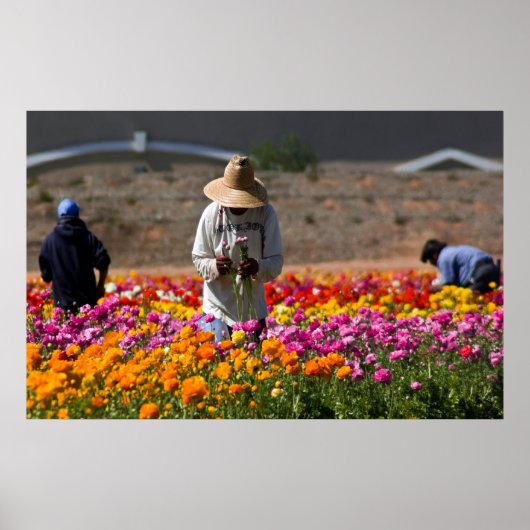 De ventilatormachines poster (Voorkant)