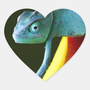 De verbazingwekkende kameleon hart sticker