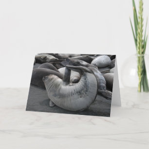 De verbinding van de Meermin Kaart