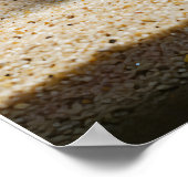 De verblijfplaats van de Axolotl Poster (Hoek)