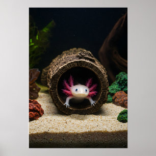 De verblijfplaats van de Axolotl Poster