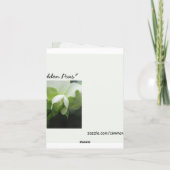 De verborgen Kaart van de Nota van de Sjabloon van (Achterkant)