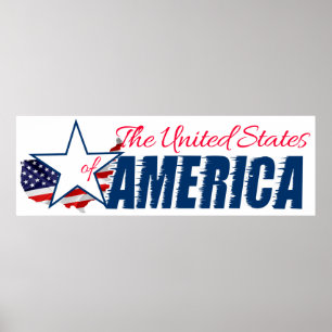 De Verenigde Staten van Amerika op 4 juli Poster