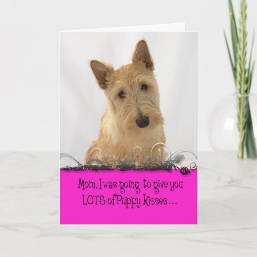 De Vergunning van Licker van het Moederdag van Kaart (Voorkant)