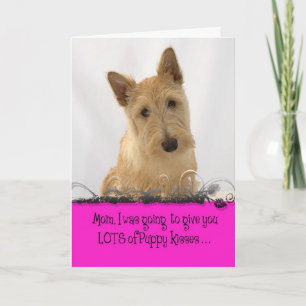 De Vergunning van Licker van het Moederdag van Kaart