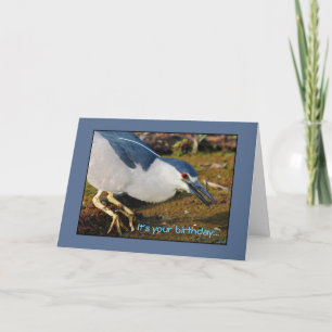 De Verjaardag van de Reiger van de nacht Kaart