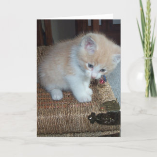 De Verjaardag van het kat Kaart