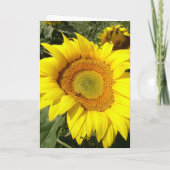 De verjaardagskaart van de zonnebloem kaart (Achterkant)