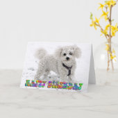 De verjaardagskaart van Frise van Bichon Kaart (Gele Bloem)