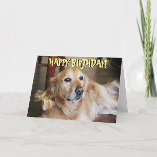 De verjaardagskaart van het golden retriever kaart