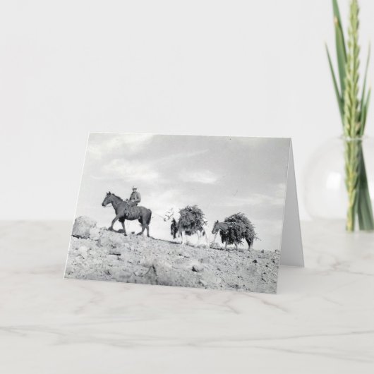 De verpakking van uit Kerstbomen Feestdagen Kaart (Voorkant)