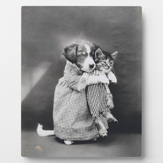 De verpleegster puppy kitten Harry Whittier Frees Fotoplaat