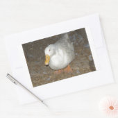 De verste eend op aarde rechthoekige sticker (Envelop)